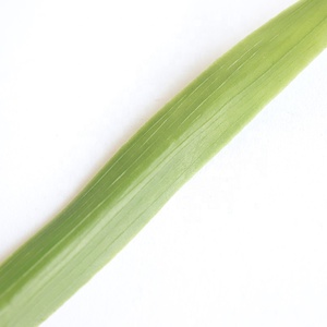 Planta Artificial de Alta Calidad, Arbusto de Hierba Verde de Plástico con Tacto Natural para Decoración de Interiores del Hogar - Product Image 6