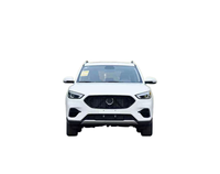MG ZS SUV 2019-용 새 정품 공장 교체용 프론트 범퍼 중간 그릴 통풍망 (OE 11406562)