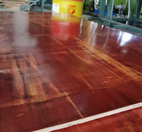 Contreplaqué filmé écologique réutilisable de 18 mm E0/E1 pour coffrage en béton |   Panneaux de coffrage modernes, durables et imperméables, garantie 1 an