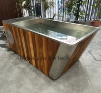 Baignoire de récupération commerciale tout-en-un en acier inoxydable Himalaya IceTech Factory OEM 1.5HP 2HP avec désinfection à l'ozone pour salle de sport