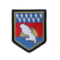 Insignes tactiques de LOGO personnalisé patchs de broderie de patrouille scout avec crochet et boucle en fer