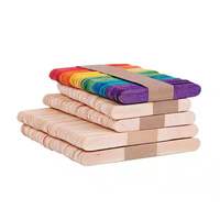 Bâtonnets de crème glacée en bois de bouleau jetables en gros avec logo personnalisé