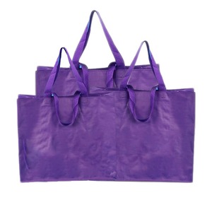 Customizable Handheld PP Woven Bag Foldable Durable for Shopping Travel Eco-Promotion Custom Logo Printing Available