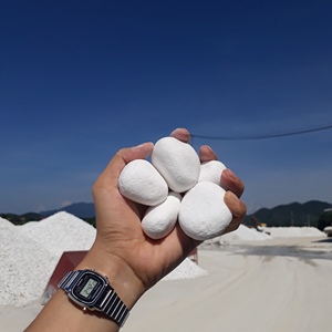 Piedra natural de alta calidad, adoquines blancos como la nieve suministrados por Vietnam para aplicaciones de parques de acuarios al aire libre y jardines paisajísticos - Product Image 6
