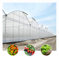 Zware industriële kwaliteit gegalvaniseerd metalen frame regenbestendige UV-bestendige polyethyleenfolie multi-tunnel kas