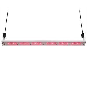มาถึง Bava Advanced Platinum Emerson เอฟเฟกต์30วัตต์ Farred 660nm <span class=keywords><strong>730nm</strong></span> <span class=keywords><strong>Ir</strong></span> Grow Light 2X4เต็นท์สำหรับโรงงานในร่ม - Product Image 1