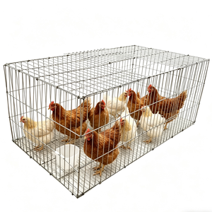 Enclos volant pour poulailler et cage à animaux, montage facile, enclos pour volailles de combat, enclos pour canards - Product Image 5