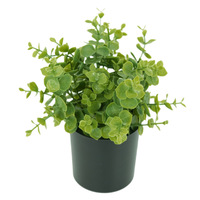 Plante artificielle d'eucalyptus en pot 23 cm, en plastique durable et écologique, petit bonsaï feuille de monnaie pour bureau et intérieur