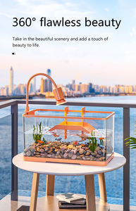 Vis En Schildpad Gemengd <span class=keywords><strong>Aquarium</strong></span> Desktop <span class=keywords><strong>Aquarium</strong></span> <span class=keywords><strong>Aquarium</strong></span> Woonkamer Speciale Tank Klein <span class=keywords><strong>Aquarium</strong></span> <span class=keywords><strong>Aquarium</strong></span> Goudvis Guppy Tank - Product Image 3