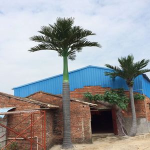 Sử dụng hàng đầu của cây cọ trong thiết kế sân vườn lòng bàn tay cho bãi <span class=keywords><strong>Florida</strong></span> cảnh quan với cây cọ gần sarasota FL - Product Image 5