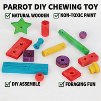 Perles en bois, bâtonnets, étoiles, cubes, accessoires de bricolage pour jouets d'oiseaux, kit de pièces artisanales colorées à suspendre pour cage de perroquet