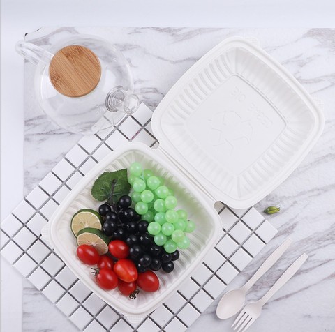 Eco Tableware Pricelist Environmentally Friendly Food Storage Containers Cornstarch Lunch Box