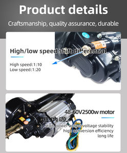 100cm 2000W DC BL Achteras Controller Kit 1 Ton voor 3-wiel motorfiets driewieler/3 wielen motorfiets achter/driewieler onderdelen - Product Image 4