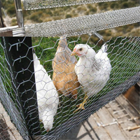 Grillage hexagonal en fer galvanisé à petits trous, clôture de ferme, cages, soudé, tissé, traité par pliage, revêtu de PVC