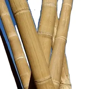 Paneles de poste de bambú con embalaje personalizado Diseños de cercas de bambú Puerta de jardín hecha de materia prima de Bambú