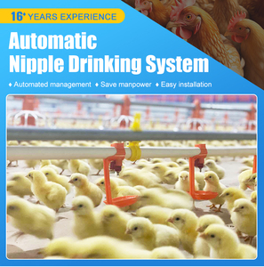 Grande Promotion Système Automatique d'Abreuvement pour Volaille Ligne d'Abreuvement à Pipettes pour Poulets - Product Image 5