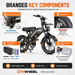 Vélo électrique QMWHEEL OEM ODM 20 pouces à pneus larges pour adultes, tout-terrain, avec service d'entrepôt en Italie, aux Pays-Bas et en UE - Product Image 3