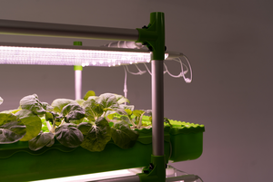 Grand ensemble de plantation hydroponique en plastique pour l'agriculture d'intérieur pour la culture du poisson et des légumes pour l'agriculture urbaine - Product Image 5