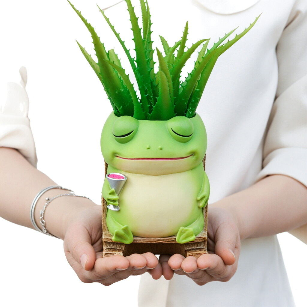 Frog Flower Pot