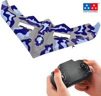 Zhengguang Control Remoto Planeador Radio Control Epp Espuma Avión Modelo Rc Juguete Jet Avión Rc Motor Avión Rc Avion Con Luz