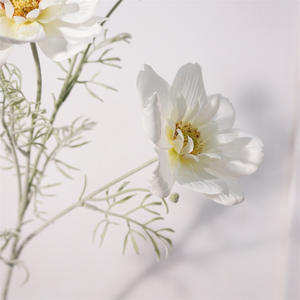 Venta al por mayor de suministro de fábrica Artificial Faux <span class=keywords><strong>Cosmos</strong></span> <span class=keywords><strong>Bipinnatus</strong></span> Flower Long Stick Plastic Silk Floral Decor para Home Party Wedding - Product Image 4