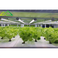 Système de culture hydroponique modulaire multi-niveaux de grande taille |   Solution d'agriculture verticale haute densité, structure en acier galvanisé à chaud