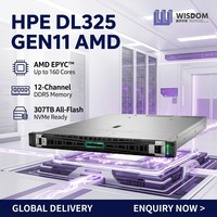 Servidor en Rack HPE ProLiant DL325 Gen11, Venta al Por Mayor de Fábrica, AMD EPYC 4.ª Gen, 64GB DDR5, 1TB SSD, Servidor de Base de Datos con Inferencia de IA