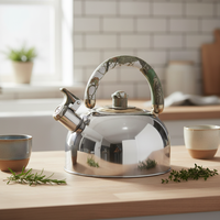 Haute qualité 304 acier inoxydable eau thé bouilloire résistant à la chaleur sifflement caractéristique Induction fond 3L capacité bakélite poignée