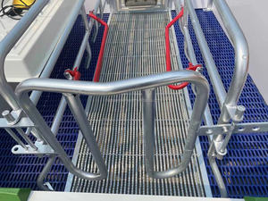 Phong cách Châu Âu lợn nái mang thai giường mạ kẽm lợn farrowing Thùng bút lợn sàn gian hàng farrowing bút gieo thiết bị - Product Image 5