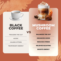 Lifeworth GMP OEM, Extracto de Café Instantáneo de Hongo Reishi en Polvo, Ganoderma, Melena de León, Apoyo Inmunológico para Adultos, Marca Privada