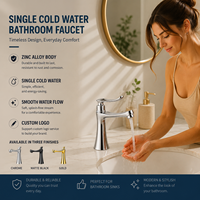 Robinet de lavabo monotrou en alliage de zinc à eau froide, à poser sur le plan, pour salle de bain