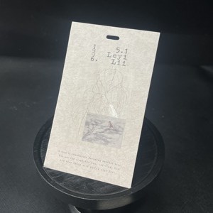 Tùy Chỉnh Thân Thiện Với Môi Tên Logo In May Hangtag Nhãn Chuỗi Treo Thẻ Cho Túi Xách Giày Và Nhựa Quần Áo - Product Image 3