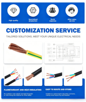 Câble Électrique RVV Longueur Personnalisée Couleur Noyau en Cuivre Pur Fil Étanche pour Distributeurs Mondiaux Achat en Gros