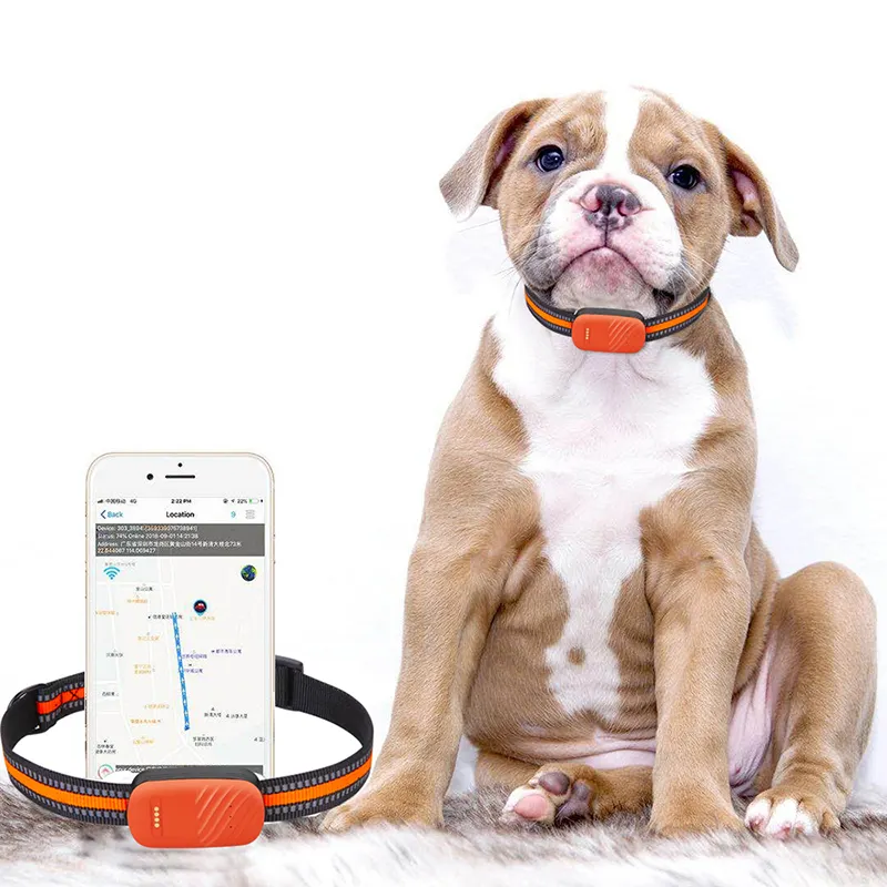 Grosir Portabel IP67 Tahan Air Pet GPS Tracker Pelacak Waktu Nyata Aplikasi Kontrol Pet Wifi GPS untuk Anjing Kucing