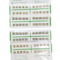Brackets orthodontiques métalliques, hygiène buccale, appareils dentaires Roth 022, orthodontie, brackets métalliques pour dents