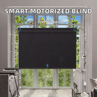 Persiana Enrollable Motorizada Inteligente de Lujo, 100% Poliéster, Protección UV, Ecológica, Integrada, Moderna, para Interiores, Oficina, Dormitorio