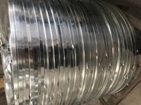 Hot Dipped Galvanized Steel Strip 40-275g Supply 5000T/Month Cold Rolled Galvanized Steel Strip Slit Coil Width 20-600mm Export