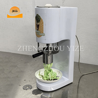 Petite machine à crème glacée Softy automatique Mini machine à crème glacée en forme de nouilles pour la maison