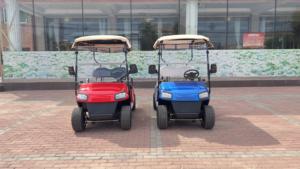 Mini voiturette de golf électrique classique Street-Legal de haute qualité Produit de voiturette de golf de qualité - Product Image 2