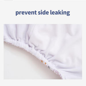 <span class=keywords><strong>Coola</strong></span> Peach 3 unids/set pañal de bebé reciclable OEM/ODM pañal de tela pañales de tela reutilizables para bebés - Product Image 6