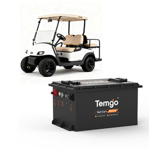 แบตเตอรี่ลิเธียมไอออน LiFePO4 สำหรับรถกอล์ฟ  48V 100Ah  ตัวเรือนโลหะ  สำหรับยานยนต์ไฟฟ้าความเร็วต่ำ - Product Image 1