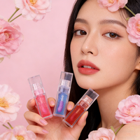 Vente en gros Mini Plump Hydratant Teinte Magic Lip Oil Vegan Fruit Shimmer Lip Oil Private Label Liquid Transparent Lip Gloss