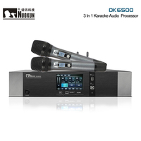 Prosesor KTV 3in1 Berkinerja Tinggi Harga Super Murah Peralatan Audio Karaoke Amplifier Daya Efektor Mikrofon Nirkabel