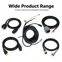 Arnés de Cableado Industrial Multirama Personalizado para Automatización, Robots, Almacenamiento de Energía y Maquinaria