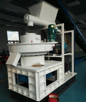 Ligne de production de granulés de bois TOPS avec moteur de 75 kW, 380 V, diamètre 4-10 mm, capacité 800-1000 kg/h, économie d'énergie
