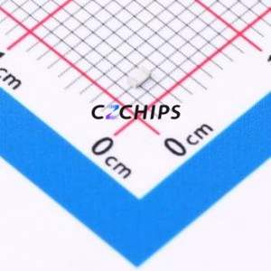 Résistance SMD CR0603-10W-3013FT 0603 (Type : Film Épais) (Résistance : 301 kOhm Précision : 1%) - Product Image 2