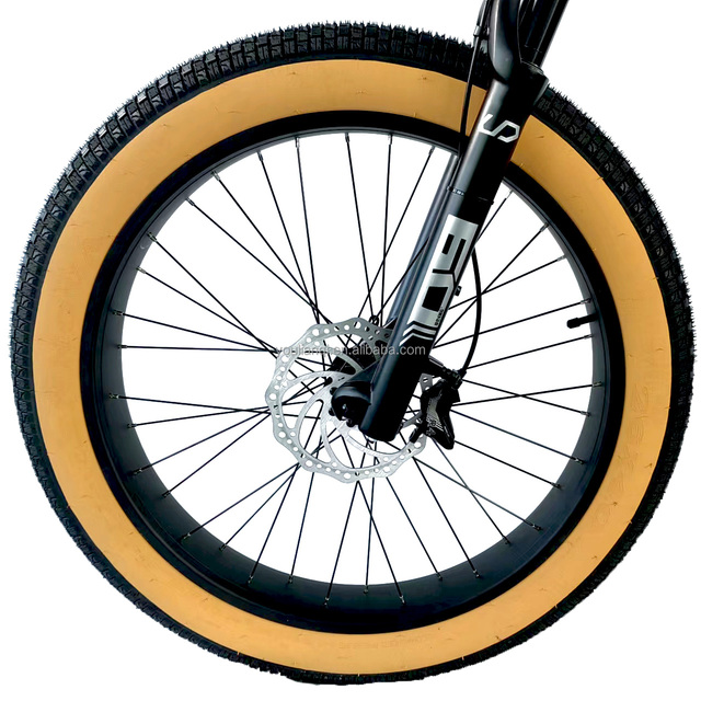20-Inch Brown Road Bicycle Tires with Inner Tube 4.0 Width Price