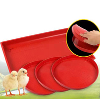 Plateau d'alimentation de poulet de casserole d'alimentation d'élevage de ferme commerciale en gros à faible coût