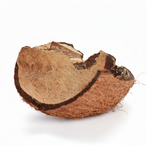 Polvo de cáscara de coco con marrón claro, para la exportación a granel, precio barato - Product Image 1