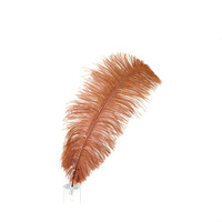50-55cm cooper plumes d'autruche Drabs décoration pour Costumes de carnaval décoration de Table teint couleur plumes d'autruche pour mariage